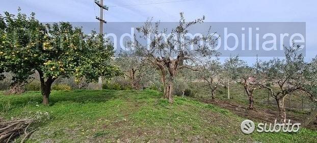 Terreno 1300 mq in parte edificabile Piedimonte - Vista 4