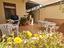 Immagine 9