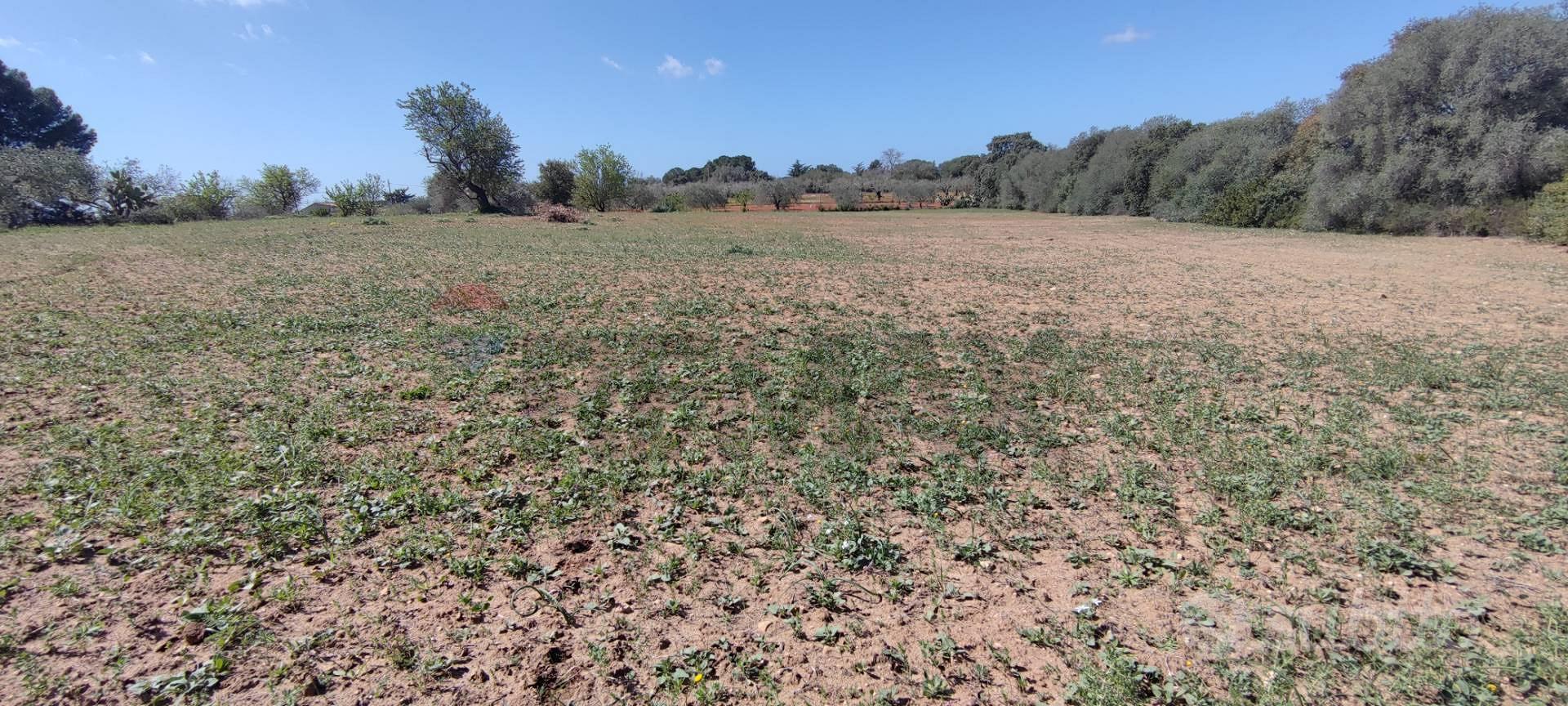 Terreno - Caltagirone - Vista 2