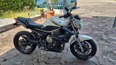 Yamaha XJ6 - 2009