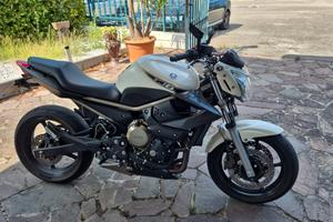 Yamaha XJ6 - 2009