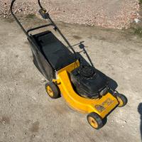 Tagliaerba DHV perfettamente funzionante