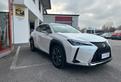 Lexus UX Hybrid 4WD Executive