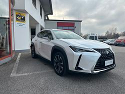 Lexus UX Hybrid 4WD Executive