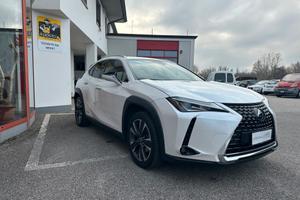 Lexus UX Hybrid 4WD Executive