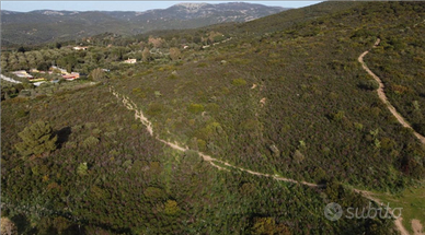 Terreno Edificabile 18500 mq