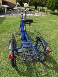 bicicletta a tre ruote 
