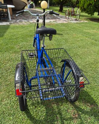 bicicletta a tre ruote 