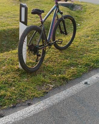 wheelie bike 