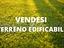 Immagine 8