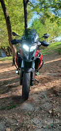 Benelli trk 502 stradale