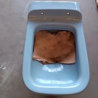 wc ideal standard conca azzurro usato