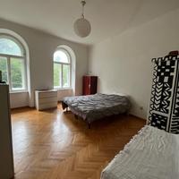 Ampia stanza luminosa disponibile da maggio