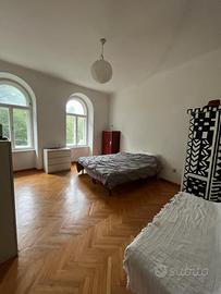 Ampia stanza luminosa disponibile da maggio