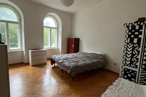 Ampia stanza luminosa disponibile da maggio