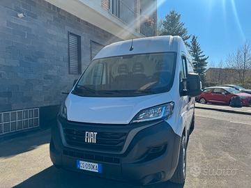 Fiat ducato tetto alto passo medio anno 12 - 2023 