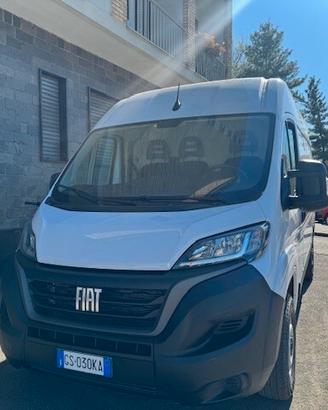 Fiat ducato tetto alto passo medio anno 12 - 2023 