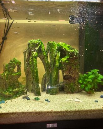 Acquario JUWEL 120L completo + pesci (guppy) – AFF