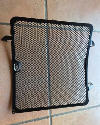 Griglia radiatore ReG