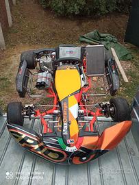 kart intrepid kz10 