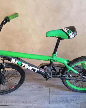Rocky Mountain Instinct