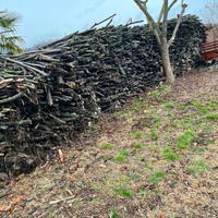 Giardinaggi fai da te