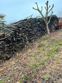 Giardinaggi fai da te