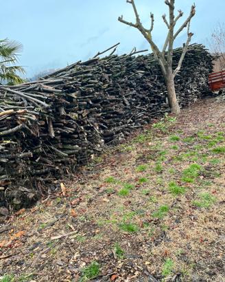 Giardinaggi fai da te