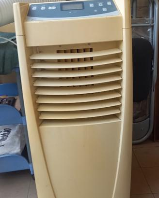 condizionatore deumidificatore portatile