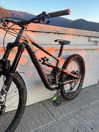specialized status