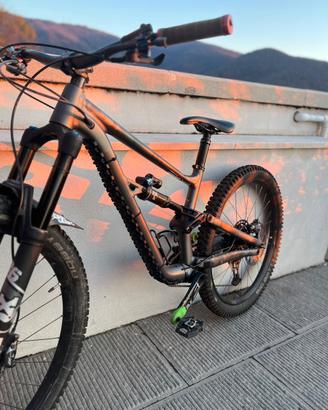 specialized status