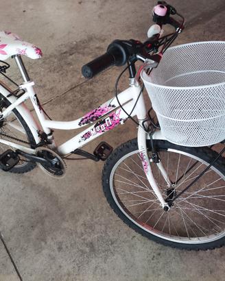 bici 24