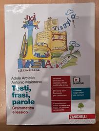 italiano: testi,frasi,parole