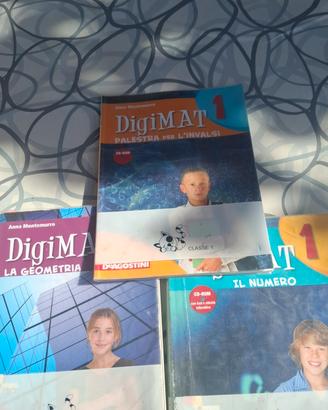 digimat 1