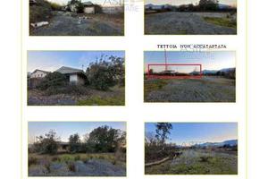 Magazzino Patrica [A4312234]