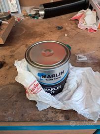 Trattamento antialga grigia