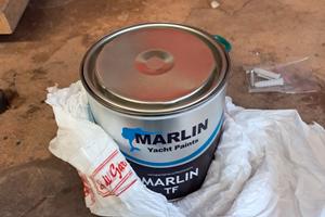 Trattamento antialga grigia