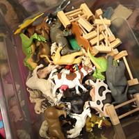 Fattoria con Recinto 