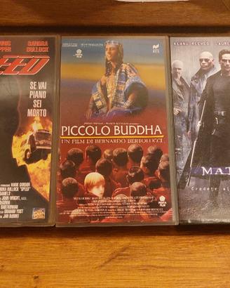 3 WHS films cult Speed Piccolo Buddha Matrix