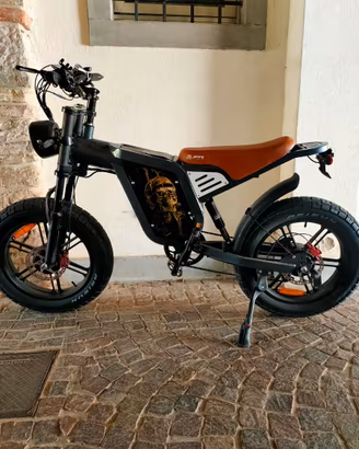JANSNO Bicicletta elettrica , doppio motore