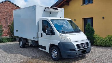 Ducato Cella Frigo Isotermica con ATP