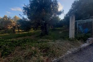 Terreno Contrada Guglia