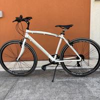 Adriatica Boxter - modello ibrido città/offroad