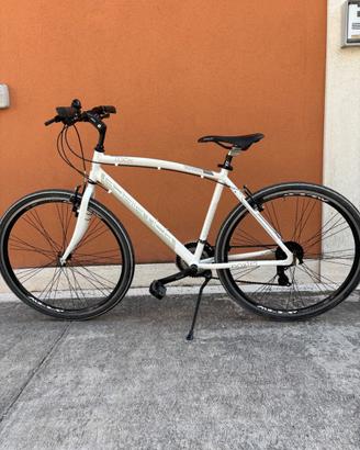 Adriatica Boxter - modello ibrido città/offroad