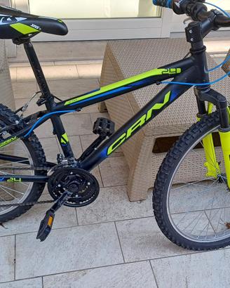bicicletta