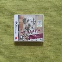 Gioco Nintendo Ds