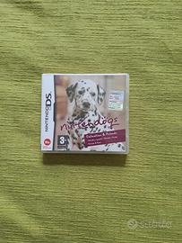 Gioco Nintendo Ds