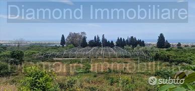 Terreno con rustico e serre a Mascali