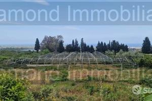 Terreno con rustico e serre a Mascali