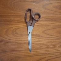 Forbici da Sarto Professionali in Acciaio Inox V